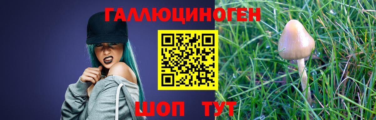 Галлюциногенные грибы MAGIC MUSHROOMS Дзержинск