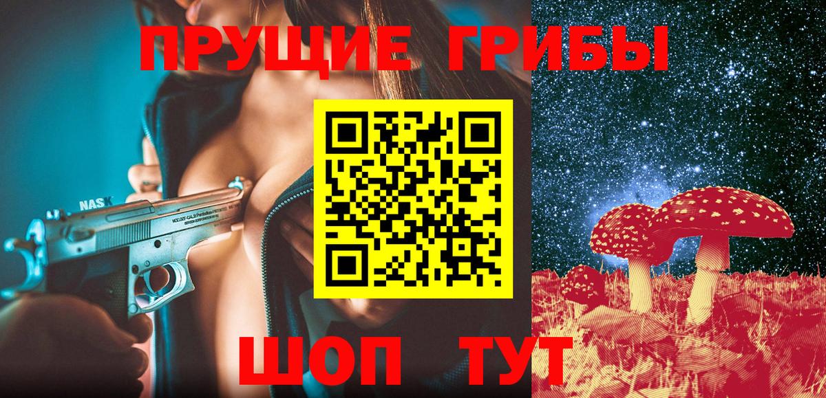 Дзержинск  Галлюциногенные грибы Cubensis  Вход с VPN 